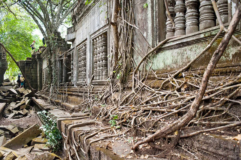Ta Prohm
