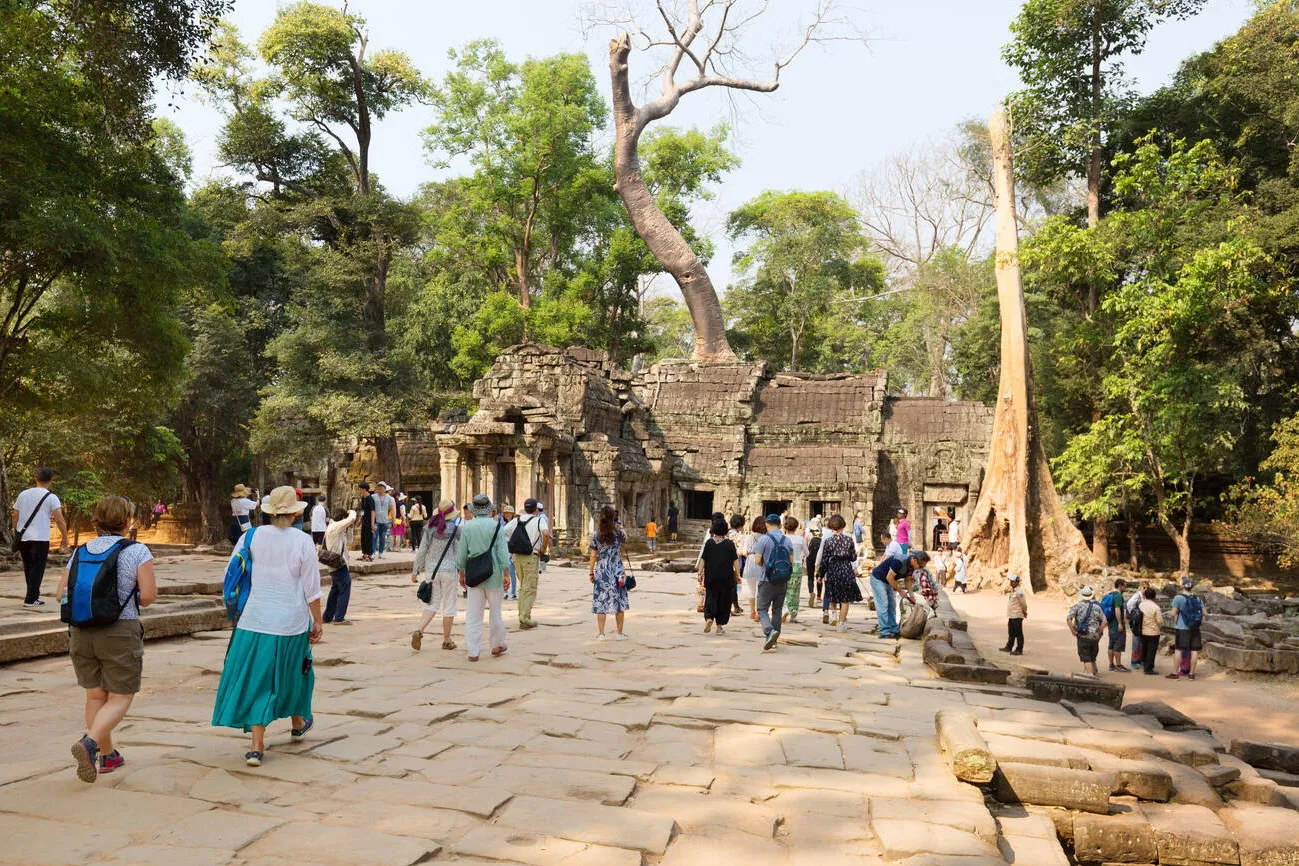Best Ta Prohm Travel Guide 2026 - Explore the Jungle Temple