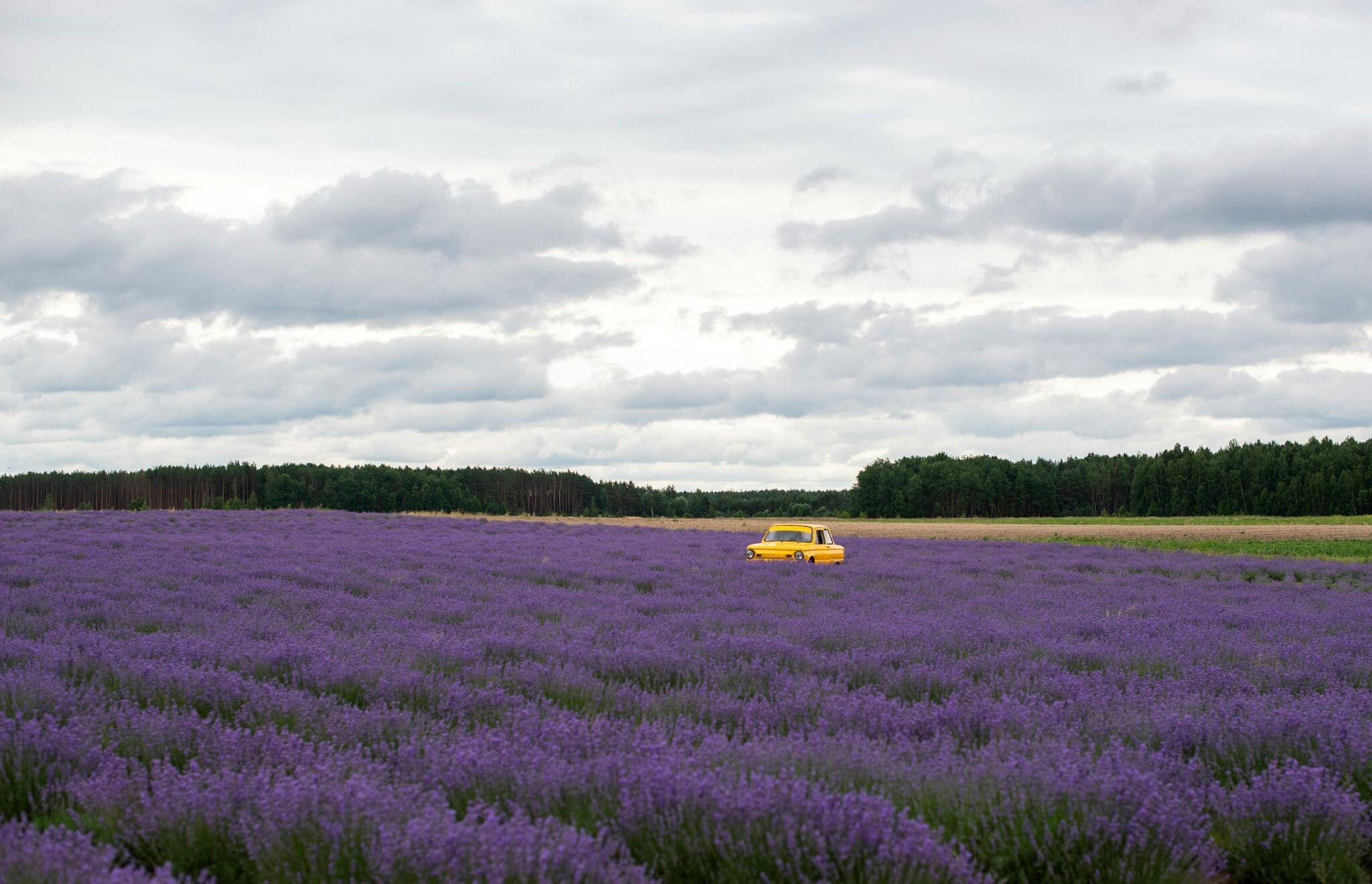 A Photo of Yellow Car in Natural View - Planet Travel Advisor A Photo of Yellow Car in Natural View - Planet Travel Advisor