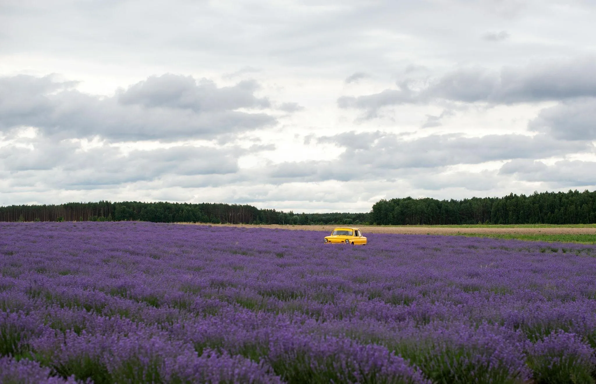 A Photo of Yellow Car in Natural View - Planet Travel Advisor