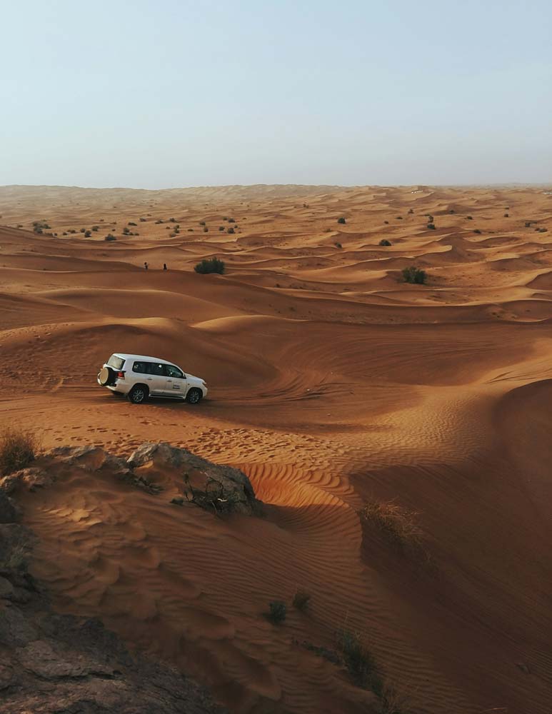 Arabian Desert, Dubai - Planet Travel Advisor