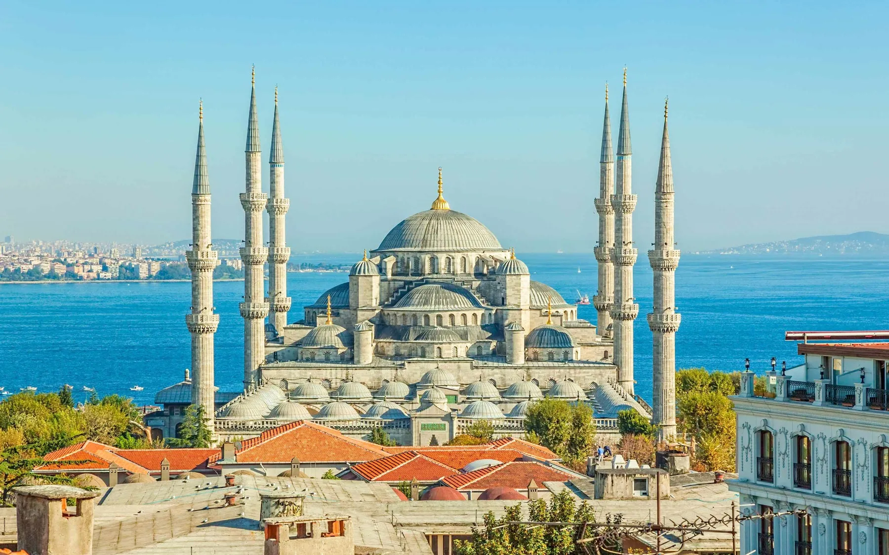 The Blue Mosque History, Facts & Travel Tips
