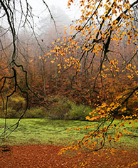 Autumn (Sep to Nov)