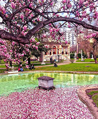 Spring (March–May)