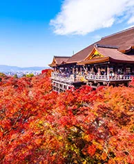 Autumn (Sep–Nov)