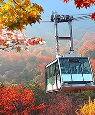 Autumn (Sep–Nov)