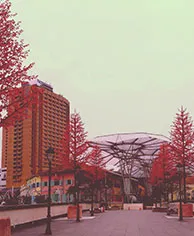 Autumn (Sep–Nov)