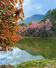 Autumn (Sep–Nov)