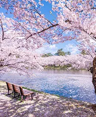 Spring (March–May)