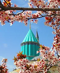 Spring (March–May)