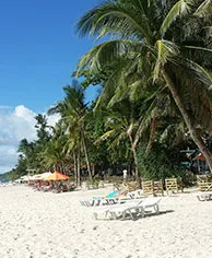 Summer (June–August)