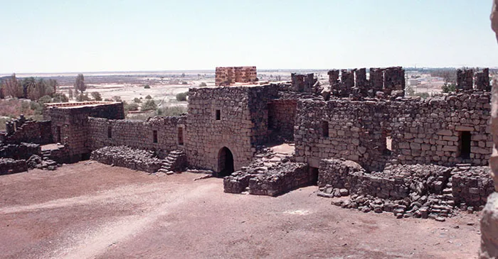 Desert Castles & Azraq Oasis Tour from Amman