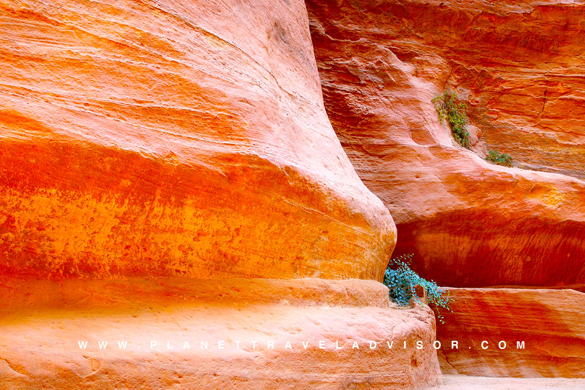 Practical Tips for Visiting the Siq - Planet Travel Advisor.jpg